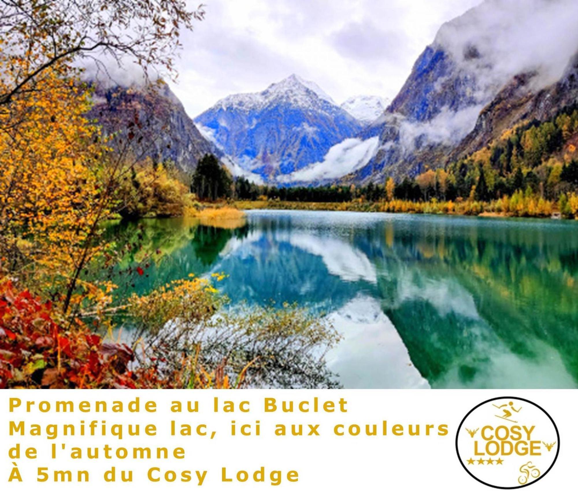 Le Cosy Lodge Departs Ski Alpe D'Huez 2 Alpes La Grave Et Col D'Ornon Detente Jacuzzi Piscine Sauna Bar Billard Le Bourg-dʼOisans 외부 사진